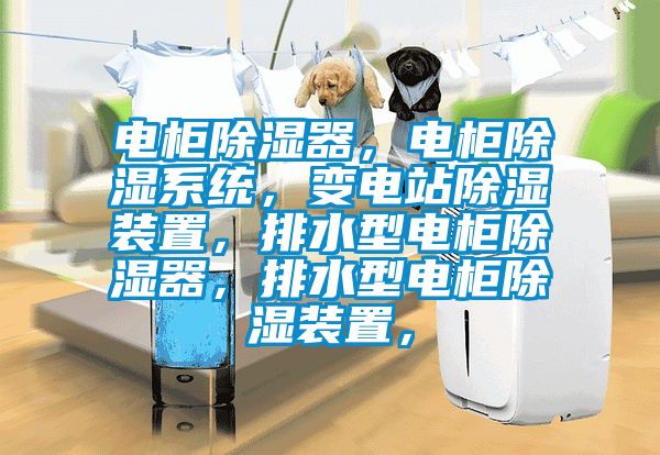 電柜除濕器，電柜除濕系統(tǒng)，變電站除濕裝置，排水型電柜除濕器，排水型電柜除濕裝置，