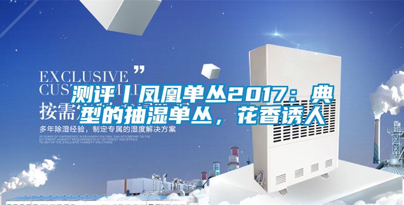 測評丨鳳凰單叢2017：典型的抽濕單叢，花香誘人