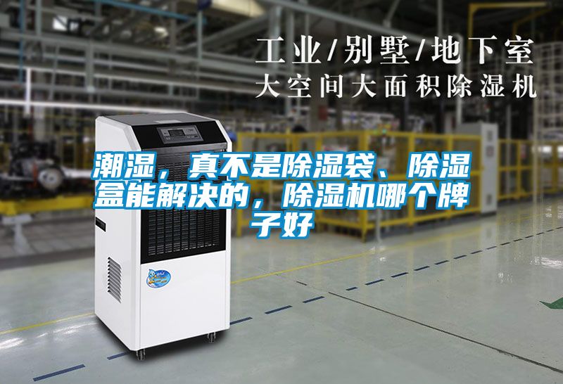 潮濕，真不是除濕袋、除濕盒能解決的，除濕機(jī)哪個(gè)牌子好