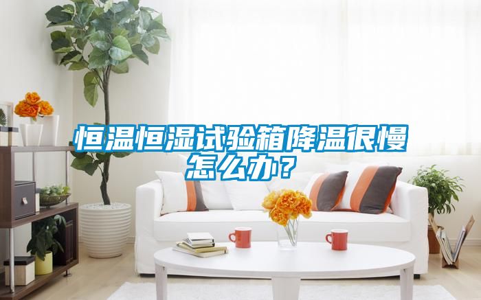 恒溫恒濕試驗箱降溫很慢怎么辦？