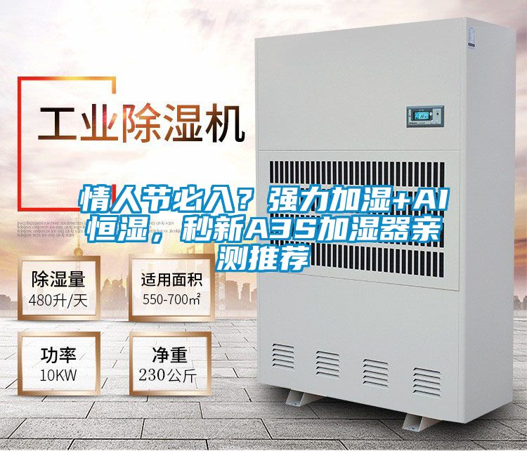 情人節(jié)必入？強力加濕+AI恒濕，秒新A3S加濕器親測推薦