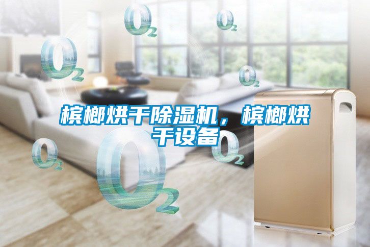 檳榔烘干除濕機，檳榔烘干設備