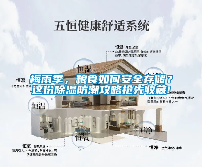梅雨季，糧食如何安全存儲(chǔ)？這份除濕防潮攻略搶先收藏!