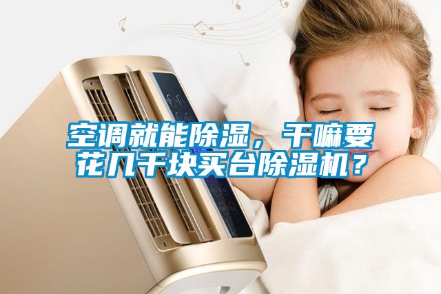 空調(diào)就能除濕，干嘛要花幾千塊買臺(tái)除濕機(jī)？