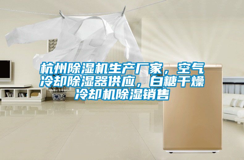 杭州除濕機(jī)生產(chǎn)廠家，空氣冷卻除濕器供應(yīng)，白糖干燥冷卻機(jī)除濕銷售