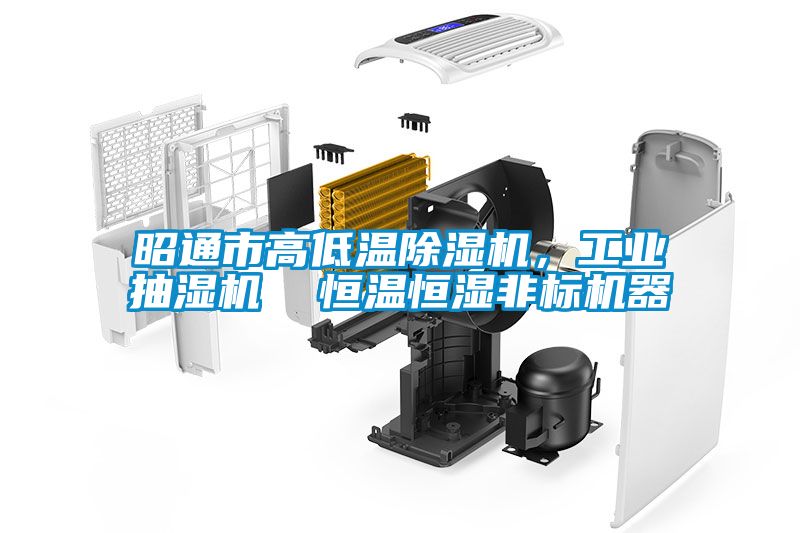 昭通市高低溫除濕機(jī)，工業(yè)抽濕機(jī)  恒溫恒濕非標(biāo)機(jī)器