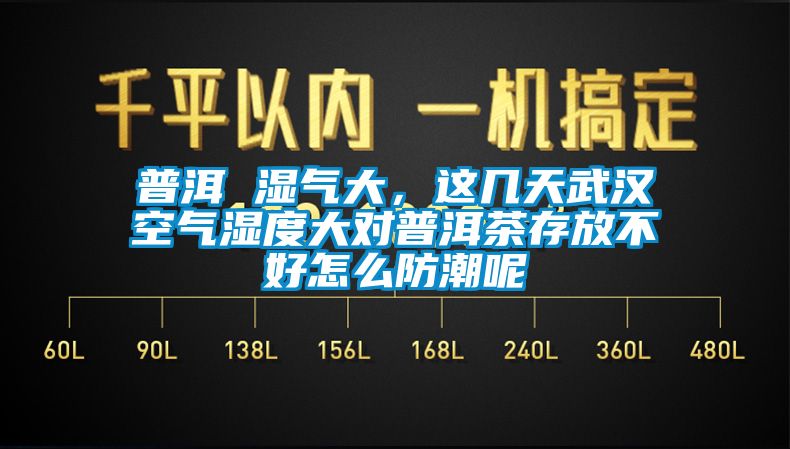 普洱 濕氣大，這幾天武漢空氣濕度大對普洱茶存放不好怎么防潮呢