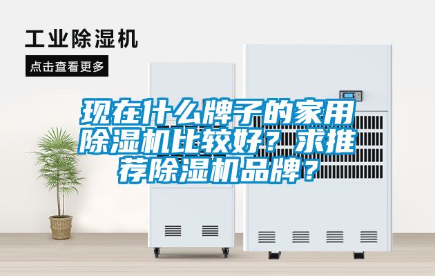 現(xiàn)在什么牌子的家用除濕機(jī)比較好？求推薦除濕機(jī)品牌？