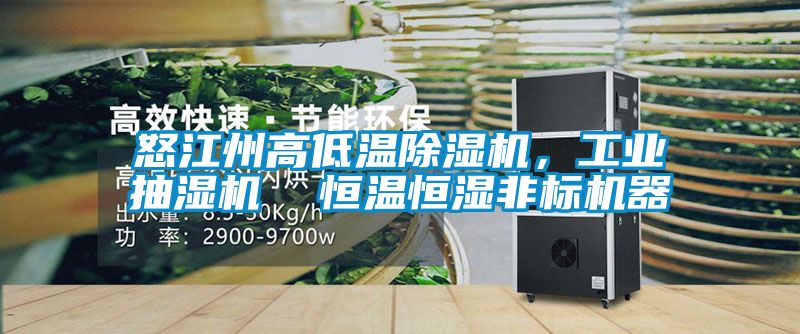 怒江州高低溫除濕機(jī)，工業(yè)抽濕機(jī)  恒溫恒濕非標(biāo)機(jī)器