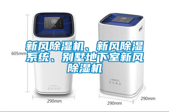 新風(fēng)除濕機(jī)、新風(fēng)除濕系統(tǒng)、別墅地下室新風(fēng)除濕機(jī)