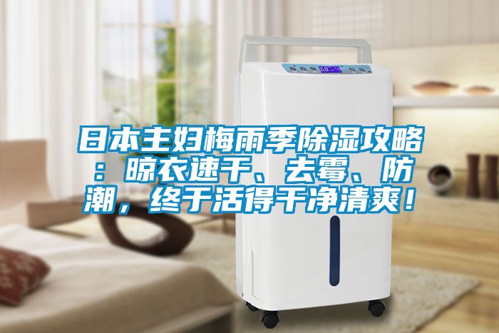 日本主婦梅雨季除濕攻略：晾衣速干、去霉、防潮，終于活得干凈清爽！