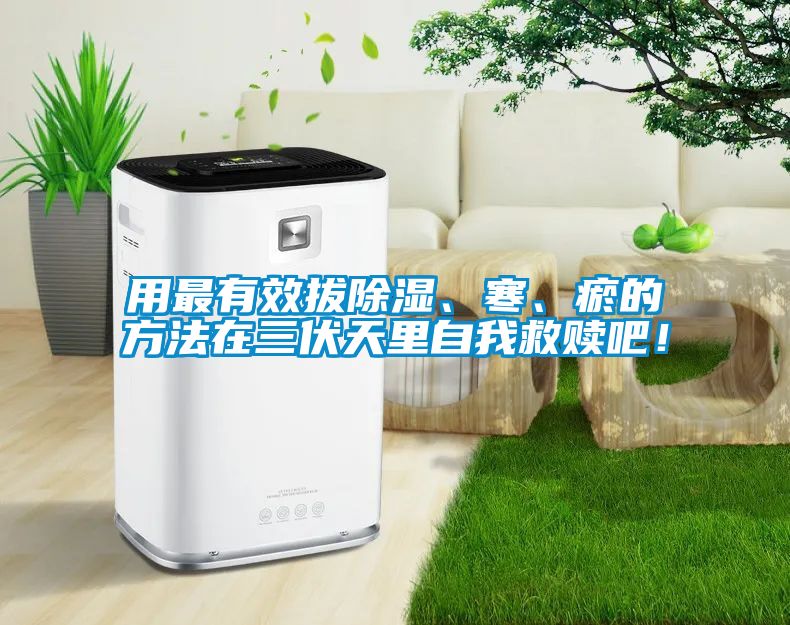 用最有效拔除濕、寒、瘀的方法在三伏天里自我救贖吧！