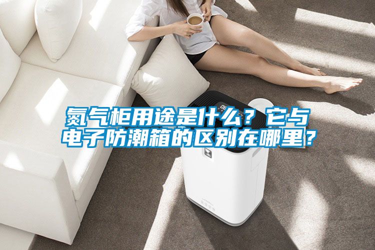 氮?dú)夤裼猛臼鞘裁?？它與電子防潮箱的區(qū)別在哪里？