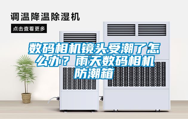 數(shù)碼相機(jī)鏡頭受潮了怎么辦？雨天數(shù)碼相機(jī)防潮箱