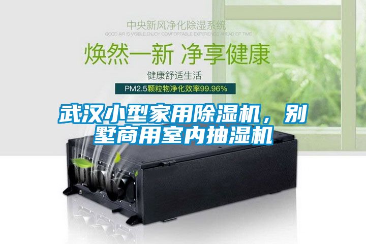 武漢小型家用除濕機，別墅商用室內(nèi)抽濕機