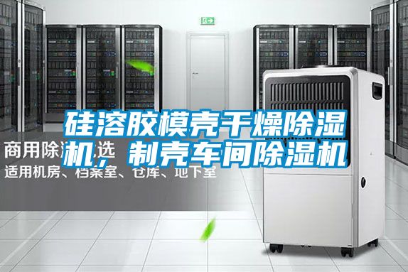 硅溶膠模殼干燥除濕機(jī)，制殼車間除濕機(jī)