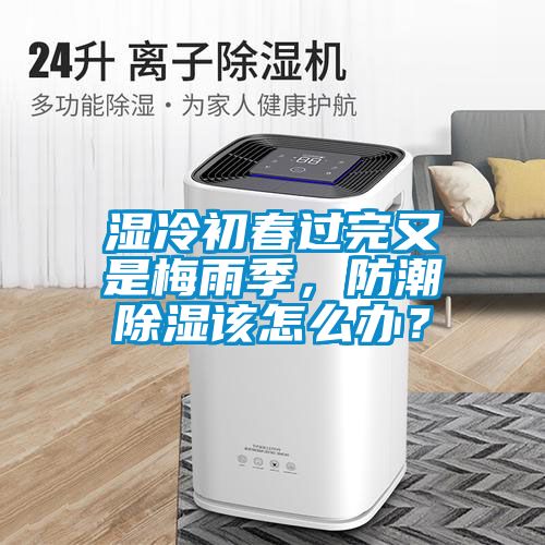 濕冷初春過完又是梅雨季，防潮除濕該怎么辦？