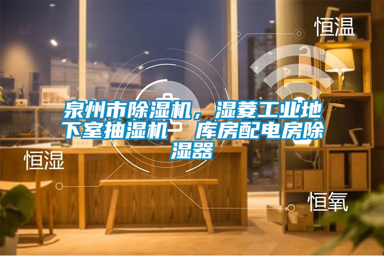 泉州市除濕機，濕菱工業(yè)地下室抽濕機  庫房配電房除濕器