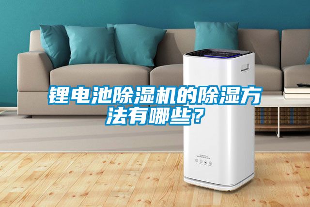 鋰電池除濕機(jī)的除濕方法有哪些?