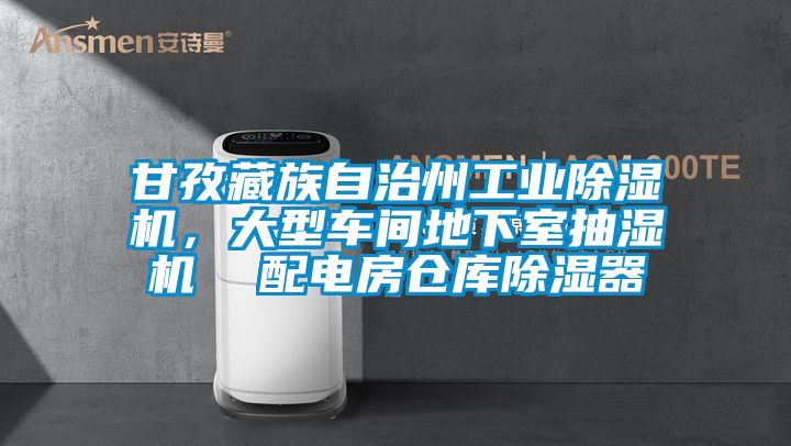 甘孜藏族自治州工業(yè)除濕機，大型車間地下室抽濕機  配電房倉庫除濕器