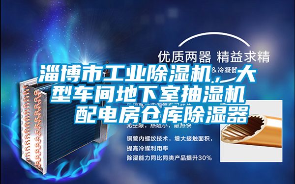 淄博市工業(yè)除濕機(jī)，大型車間地下室抽濕機(jī)  配電房倉(cāng)庫(kù)除濕器