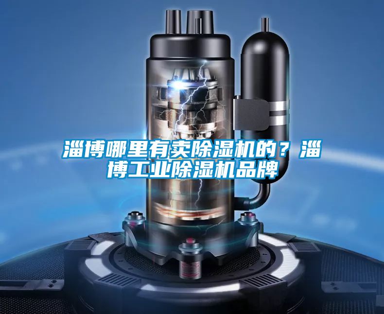 淄博哪里有賣除濕機的？淄博工業(yè)除濕機品牌