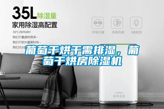 葡萄干烘干需排濕，葡萄干烘房除濕機(jī)