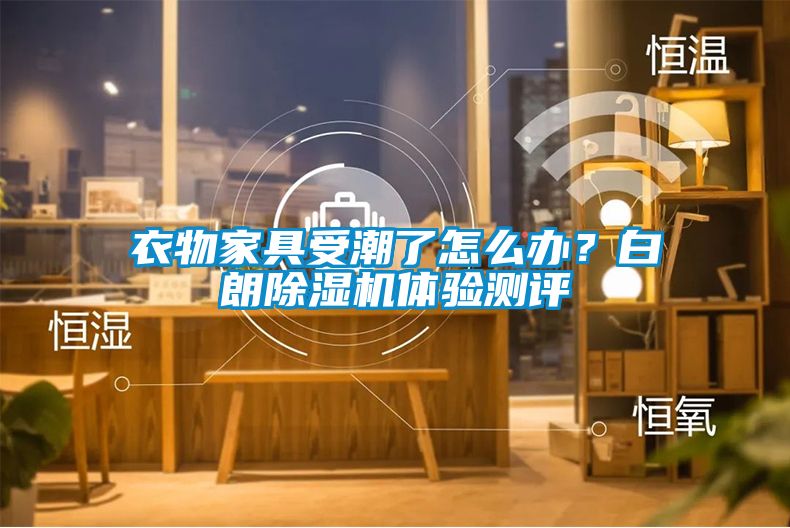 衣物家具受潮了怎么辦？白朗除濕機體驗測評