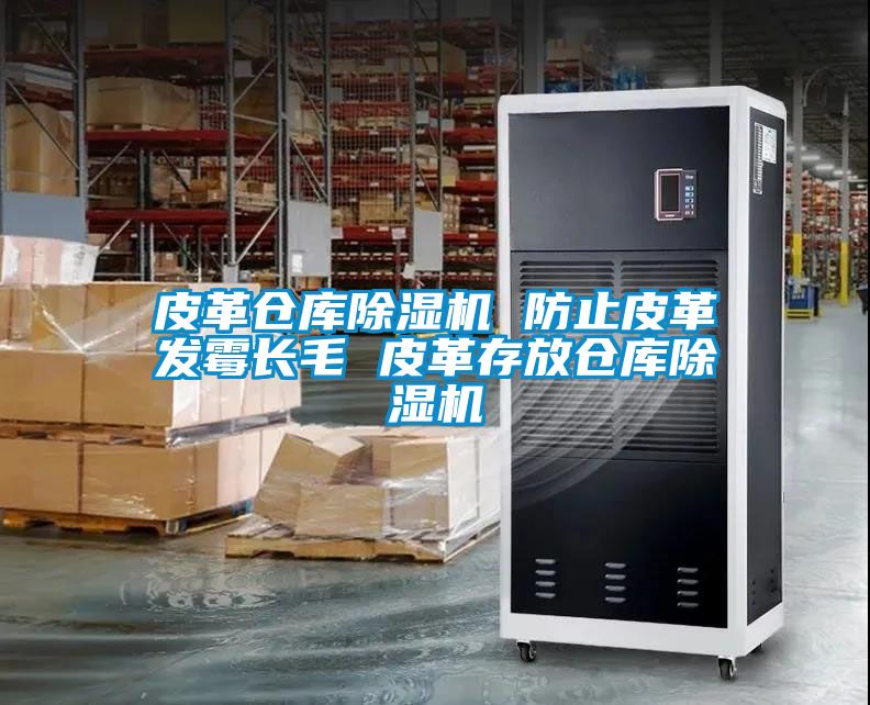 皮革倉庫除濕機(jī) 防止皮革發(fā)霉長(zhǎng)毛 皮革存放倉庫除濕機(jī)