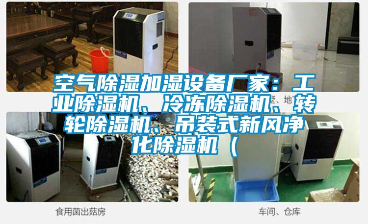 空氣除濕加濕設(shè)備廠家：工業(yè)除濕機、冷凍除濕機、轉(zhuǎn)輪除濕機、吊裝式新風(fēng)凈化除濕機（