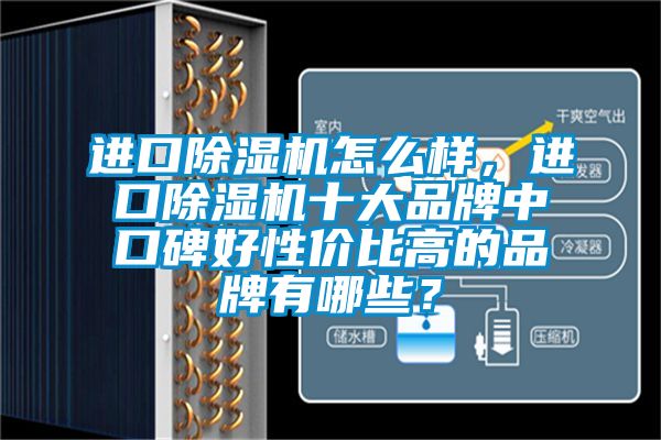 進口除濕機怎么樣，進口除濕機十大品牌中口碑好性價比高的品牌有哪些？
