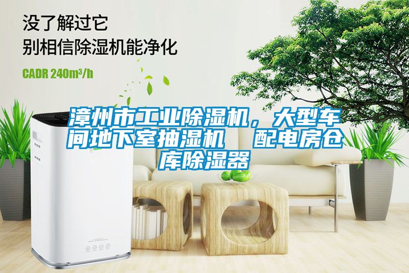 漳州市工業(yè)除濕機(jī)，大型車間地下室抽濕機(jī)  配電房倉庫除濕器