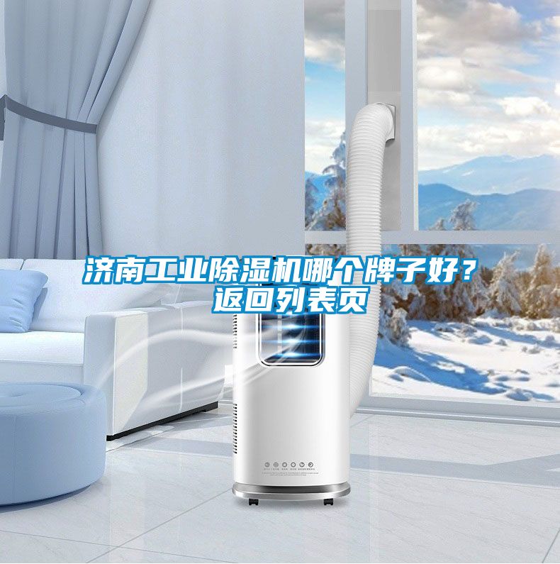 濟南工業(yè)除濕機哪個牌子好? 返回列表頁