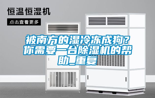 被南方的濕冷凍成狗？你需要一臺除濕機的幫助_重復