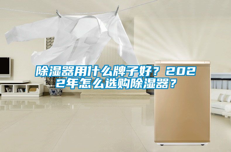除濕器用什么牌子好？2022年怎么選購除濕器？