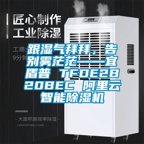 跟濕氣拜拜，告別霧茫茫——宜盾普 TFDE2B20BEC 阿里云智能除濕機