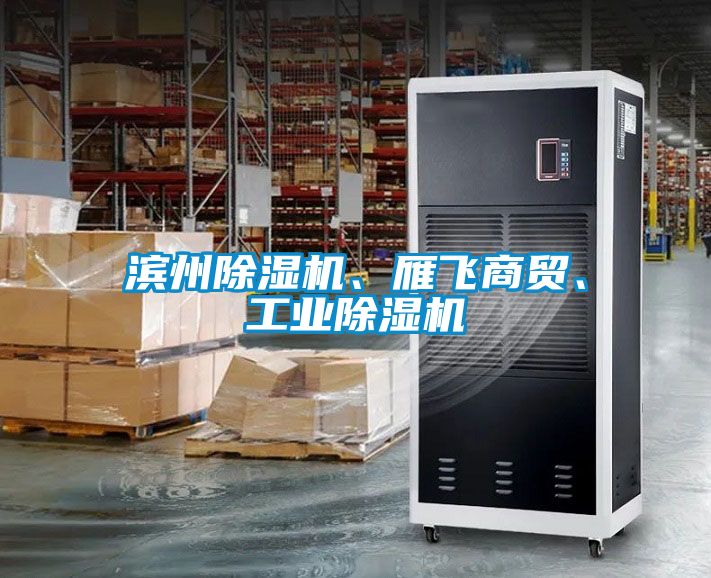濱州除濕機(jī)、雁飛商貿(mào)、工業(yè)除濕機(jī)