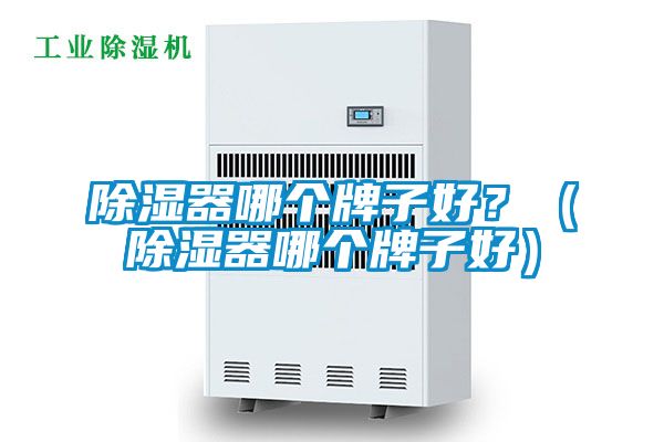 除濕器哪個(gè)牌子好？（除濕器哪個(gè)牌子好）