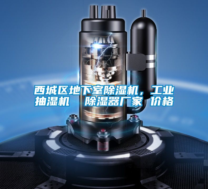 西城區(qū)地下室除濕機(jī)，工業(yè)抽濕機(jī)  除濕器廠家 價(jià)格