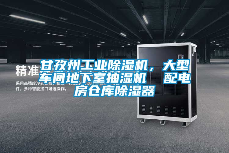 甘孜州工業(yè)除濕機，大型車間地下室抽濕機  配電房倉庫除濕器
