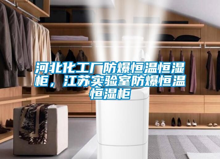 河北化工廠防爆恒溫恒濕柜，江蘇實驗室防爆恒溫恒濕柜