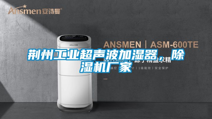 荊州工業(yè)超聲波加濕器，除濕機廠家