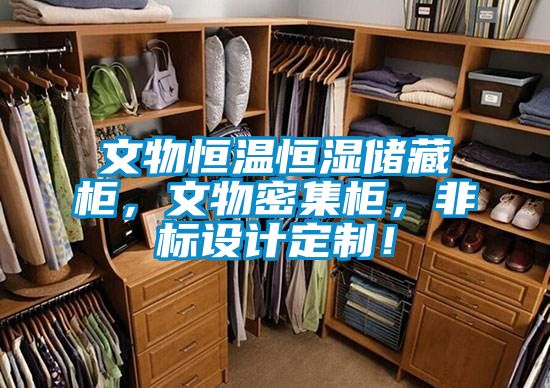 文物恒溫恒濕儲(chǔ)藏柜，文物密集柜，非標(biāo)設(shè)計(jì)定制！
