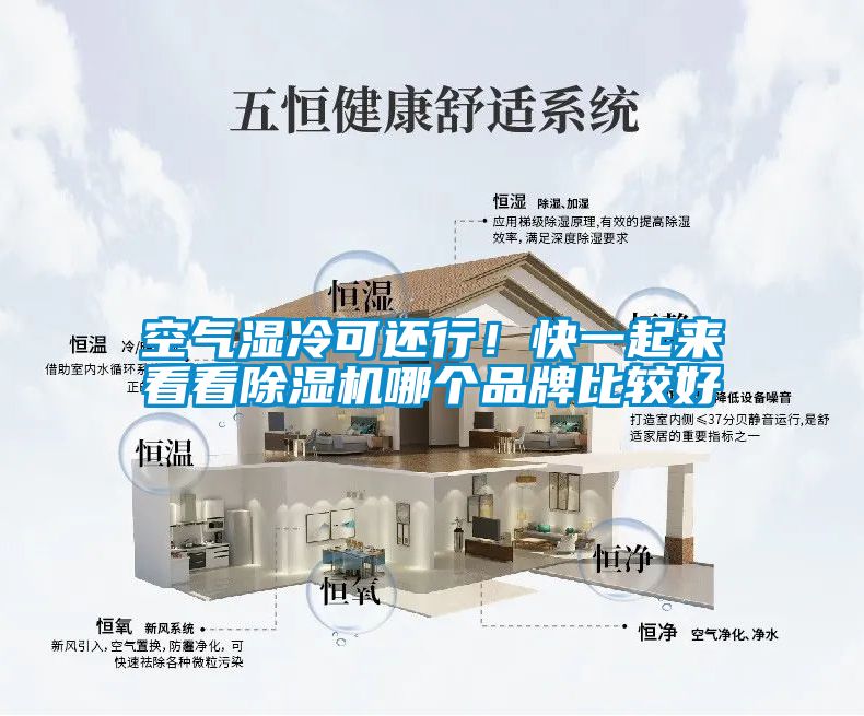 空氣濕冷可還行！快一起來看看除濕機哪個品牌比較好