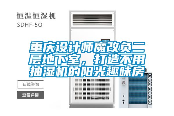 重慶設(shè)計(jì)師魔改負(fù)二層地下室，打造不用抽濕機(jī)的陽光趣味房