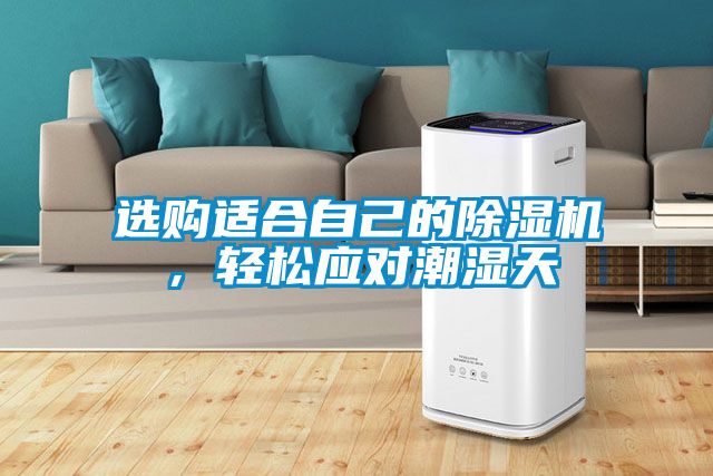 選購適合自己的除濕機(jī)，輕松應(yīng)對潮濕天