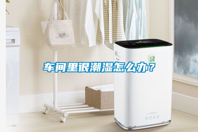 車間里很潮濕怎么辦？