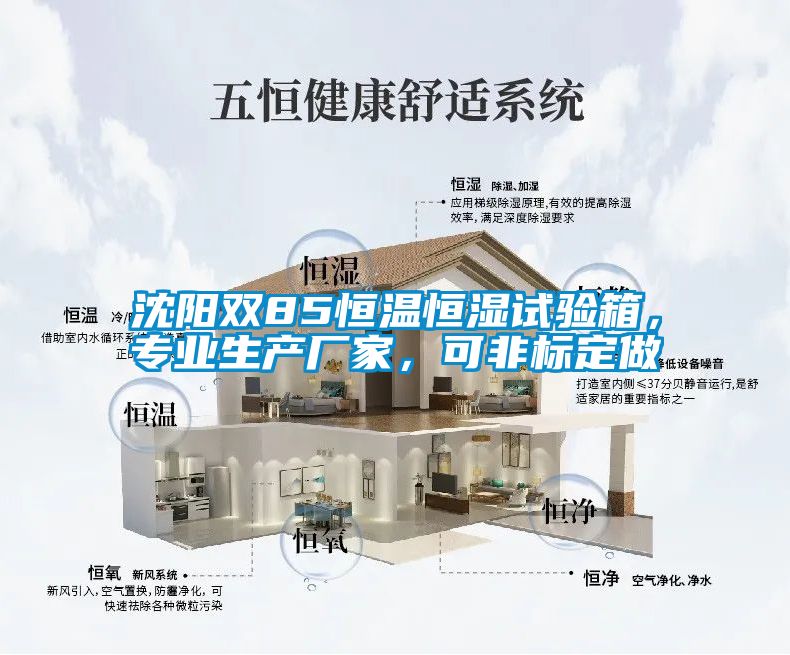 沈陽雙85恒溫恒濕試驗箱，專業(yè)生產(chǎn)廠家，可非標定做