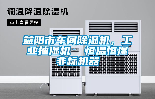 益陽市車間除濕機，工業(yè)抽濕機  恒溫恒濕非標機器