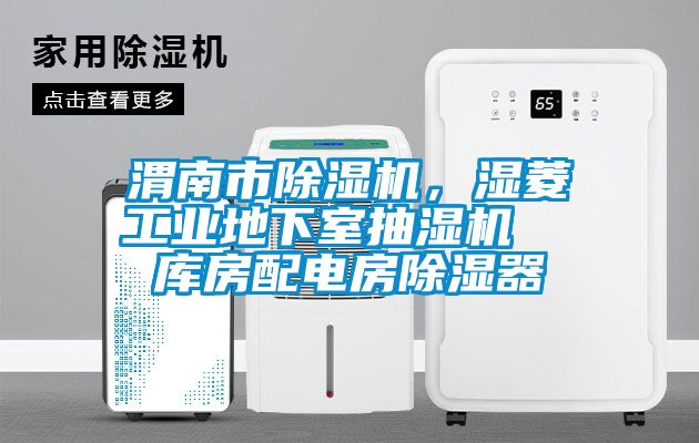 渭南市除濕機，濕菱工業(yè)地下室抽濕機  庫房配電房除濕器